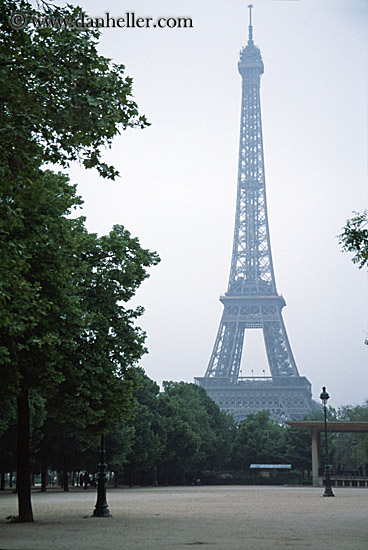 eiffel_tower-n-hazy-trees-5.jpg