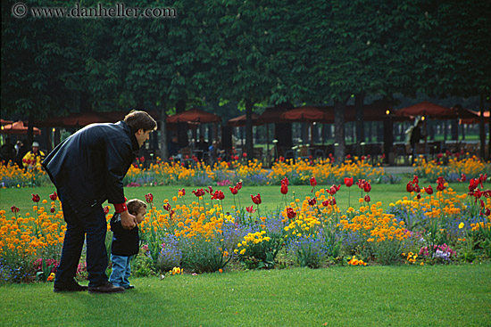 father-n-son-w-red-tulips.jpg