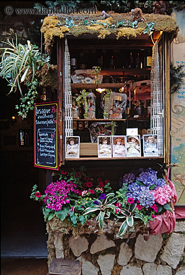 flowers-n-window.jpg