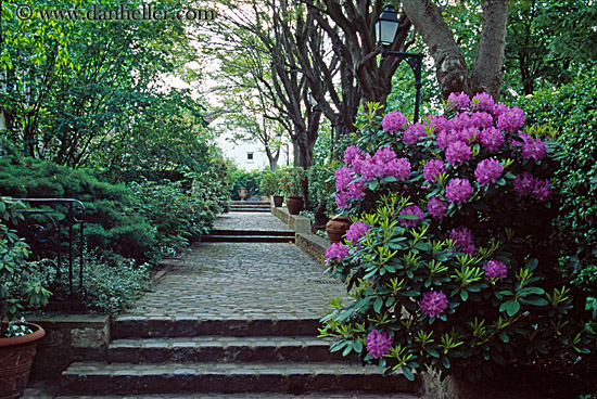 purple-flowers-n-cobblestone-sidewalk-1.jpg