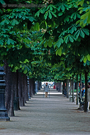 tuilleries-tree-tunnel-walk-1.jpg