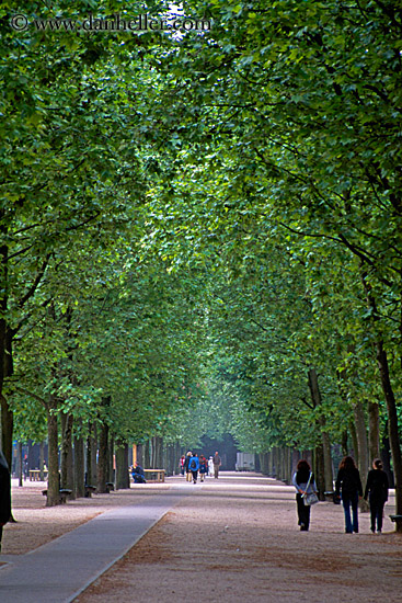 tuilleries-tree-tunnel-walk-2.jpg