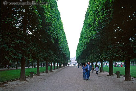 tuilleries-tree-tunnel-walk-3.jpg