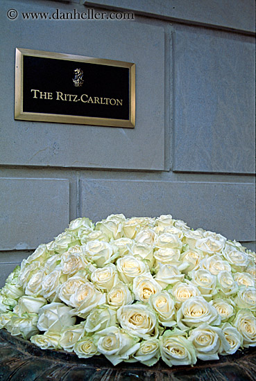 yellow-roses-ritz-hotel-sign.jpg