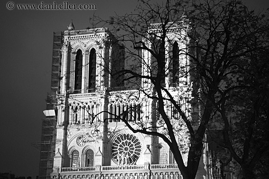 notre_dame-at-night-5.jpg