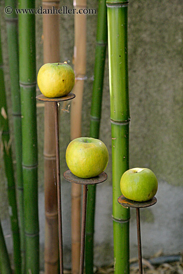 apples-n-bamboo.jpg