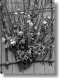 images/Europe/France/Provence/Aix/Flowers/flowers-on-wall-1-bw.jpg