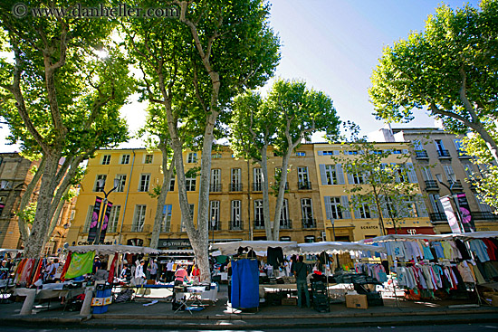 market-tents-n-trees-2.jpg