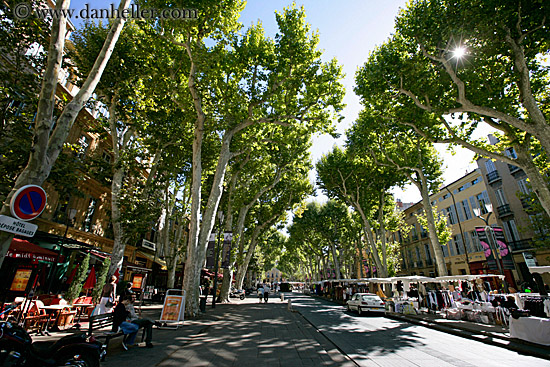 cours_mirabeau-trees-2.jpg