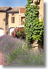 images/Europe/France/Provence/Avignon/house01.jpg