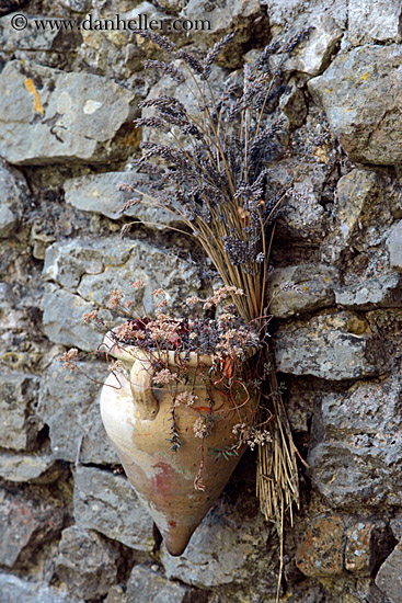 dried-flowers-n-stone-wall.jpg