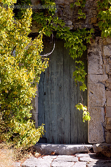 ivy-hanging-over-door.jpg