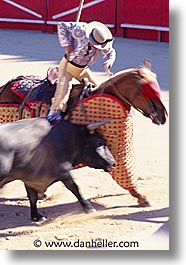 images/Europe/France/Provence/Bullfight/bullfight03.jpg