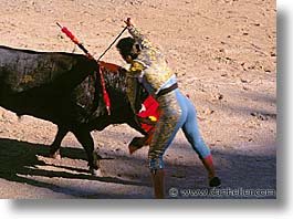 images/Europe/France/Provence/Bullfight/bullfight04.jpg