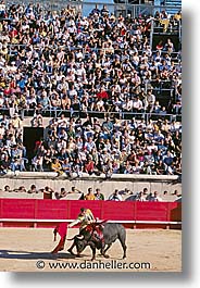 images/Europe/France/Provence/Bullfight/bullfight05.jpg