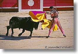 images/Europe/France/Provence/Bullfight/bullfight06.jpg