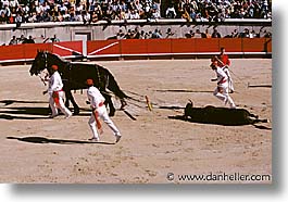 images/Europe/France/Provence/Bullfight/bullfight07.jpg