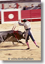 images/Europe/France/Provence/Bullfight/bullfight08.jpg