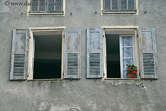 geraniums-in-window.jpg