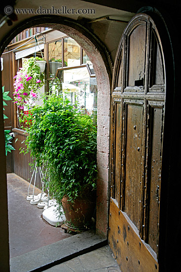 doorway-n-plants.jpg