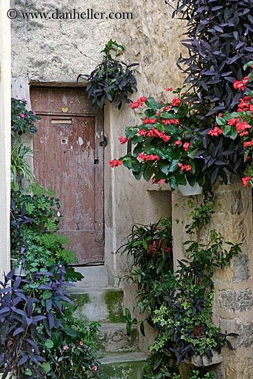 alley-of-flowers.jpg