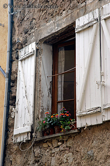 flowers-in-old-window-1.jpg