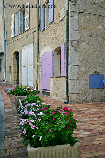 flowers-n-colorful-shutters.jpg