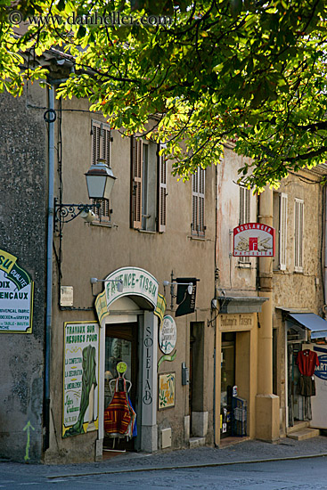 shops-n-tree-canopy-2.jpg