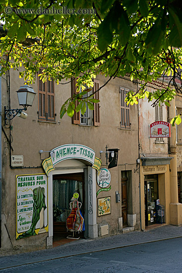 shops-n-tree-canopy.jpg