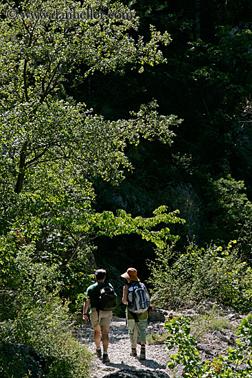 hiking-thru-trees-3.jpg
