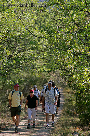 hiking-thru-trees-4.jpg