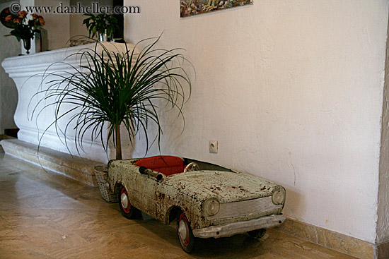 car-artwork-n-plant.jpg