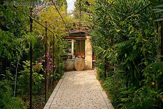 potted-plant-n-tile-path-1.jpg