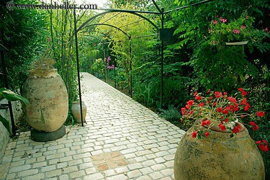 potted-plant-n-tile-path-3.jpg