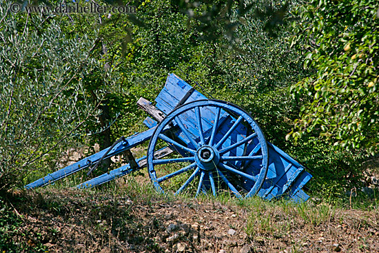blue-wheel_barrow.jpg