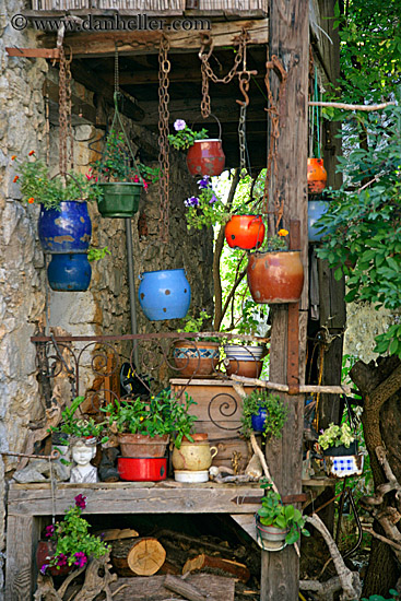 hanging-potted-plants.jpg