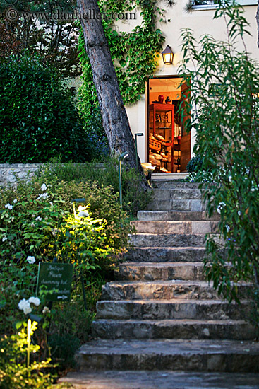 stairs-plants-n-doorway.jpg