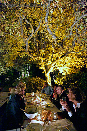 tourists-dining-under-tree-2.jpg