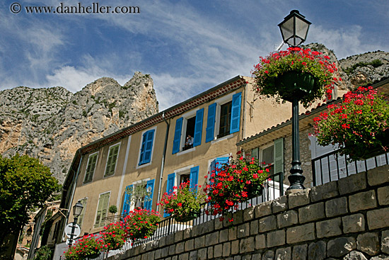 flowers-n-bldg-n-mtns.jpg