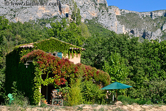 ivy-covered-house-2.jpg