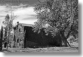 images/Europe/France/Provence/Moustiers-StMarie/Scenics/ivy-covered-house-n-tree-bw.jpg