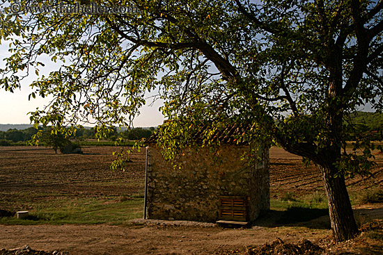 stone-shed-n-tree.jpg