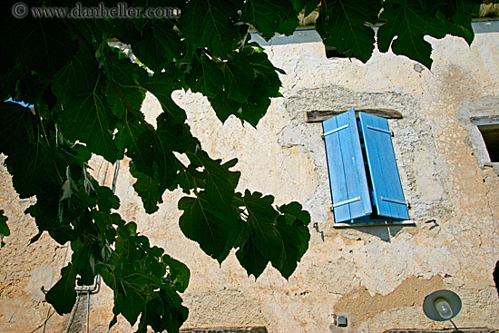hanging-leavesn-blue-window.jpg