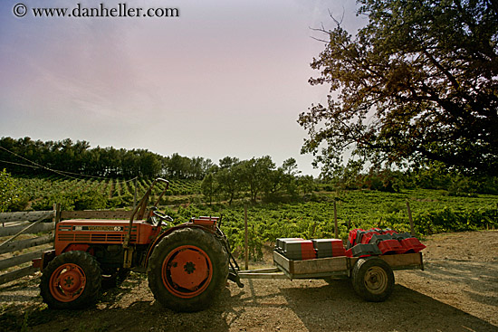 tractor-n-vineyard-1.jpg