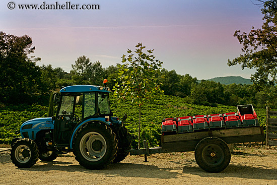 tractor-n-vineyard-2.jpg