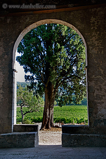 archway-n-trees-1.jpg