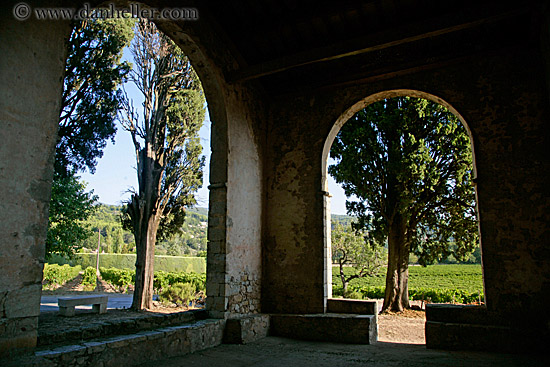 archway-n-trees-2.jpg