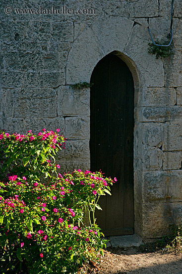 flowers-n-arch-door-2.jpg