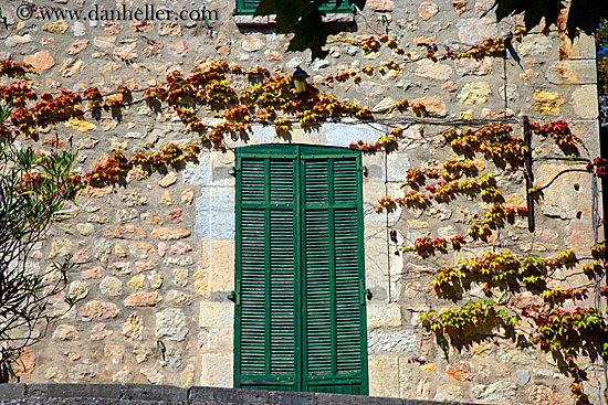 green-shutters-n-colored-ivy.jpg