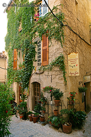 ivy-covered-bldg-n-potted-plants.jpg